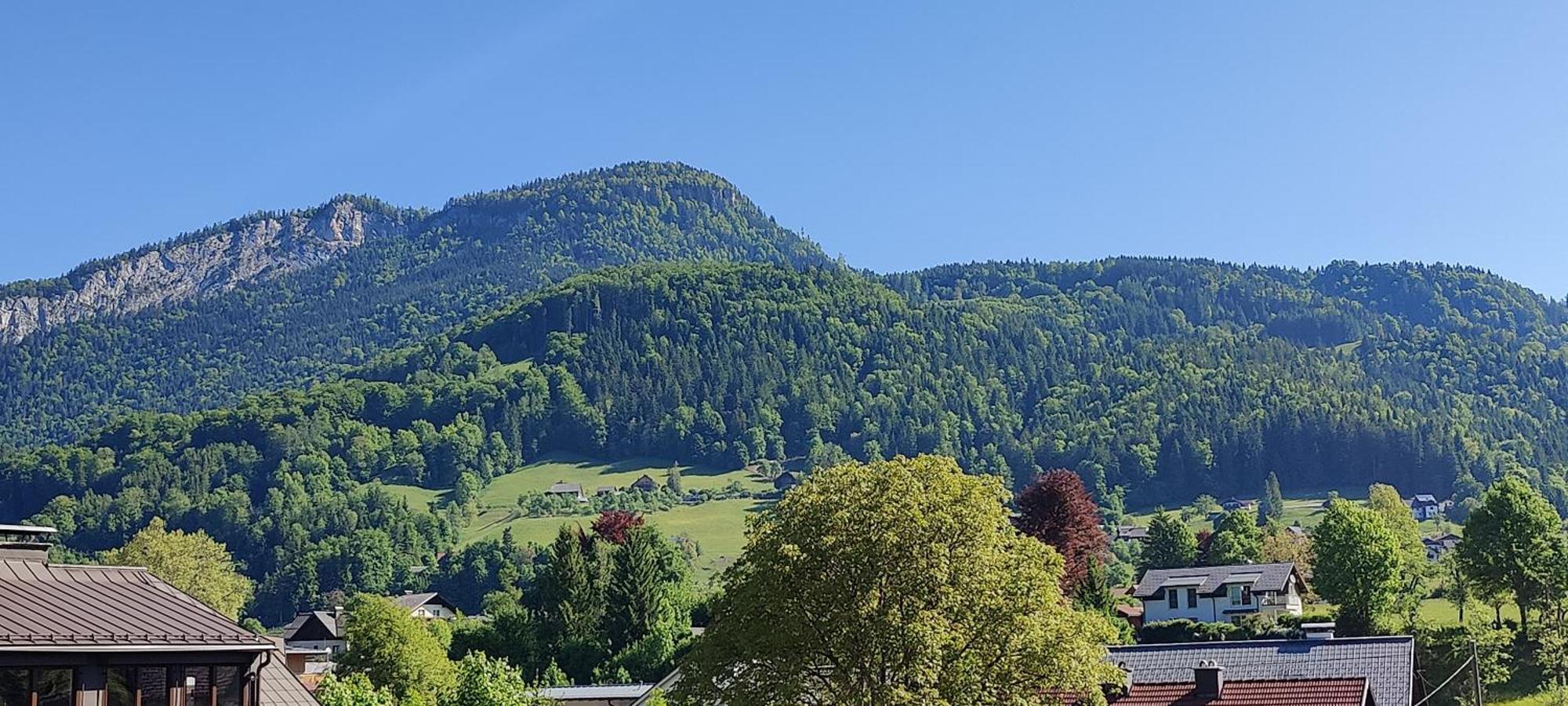 Sofias Apartment Bad Goisern Bagian luar foto